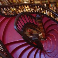 Lello Bookshop staircase