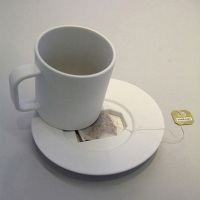 Tea bag coffin