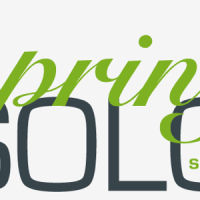 Spring solo show open call