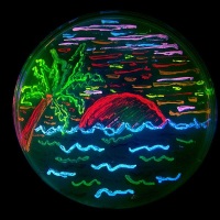 Beach drawn with fluorescent bacteria