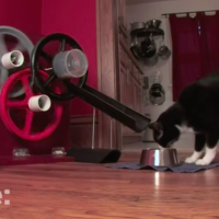 VCR Cat Feeder on MAKE: television