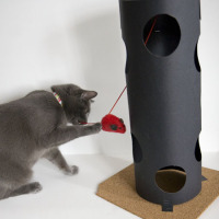 HOW TO – Cheap & Easy Cat Tower Toy