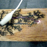 Fractal woodburning reveals hidden aesthetic