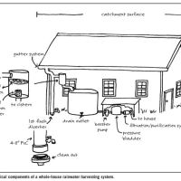 Rainwater catchment basics