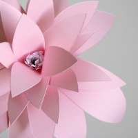 A.M. Eye Candy – A Little Hut’s Paper Flower Project