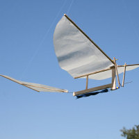 Building an Ornithopter