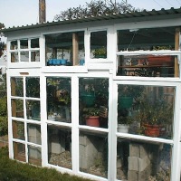 Greenhouse from old windows