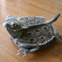 Roomba horny toad wool cosy