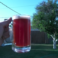 Blackberry pale ale