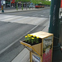 Newspaper box planters