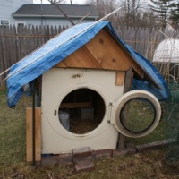 Clothes dryer chicken coop