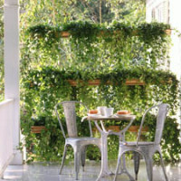 Hanging gutter gardens