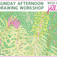 Jill Bliss’ Summer Sunday Afternoon Nature Drawing Workshops in June