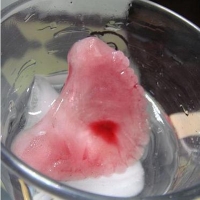 Denture ice cubes