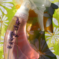 Homemade Flea Repellent
