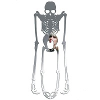 Skeleton mirror