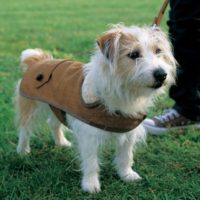 How To: Country Gent Tweed Coat for Your Dog