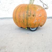 How-To:  Autonomous mobile pumpkin (AMP)