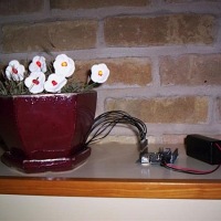 Ambient LED flowerpot clock