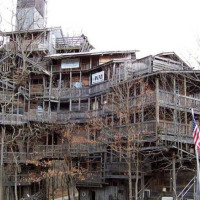 Humongous treehouse