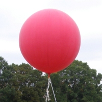 K DARPA “find the balloons” social networking challenge