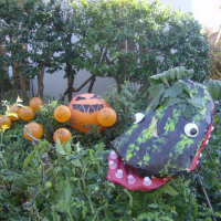 Halloween on Berkeley’s Russell Street