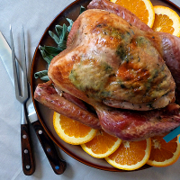 How to Brine and Roast a Turkey