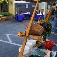 Portable farmer’s market stand