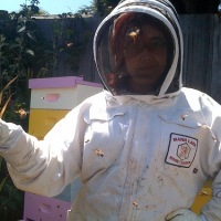 Make: Holiday Gift Guide 2009: Beekeeper Gift Guide