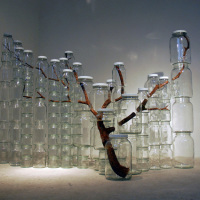 Tree branch in a jar…well, a bunch of jars