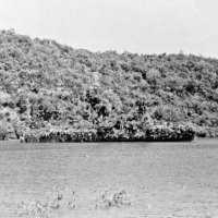 Warship camouflaged as tropical island