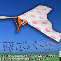 Flying panty ornithopter