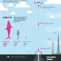 Fiction science:  Aliens, Predator, and Mega Shark infographics