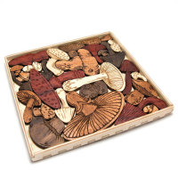 In the Makers Market: Mysterious mushroom puzzle