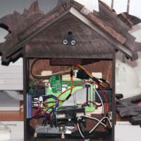 Cuckoo clock shows the tweets