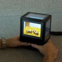 Virtual 3D “fish tank” box has screens all around