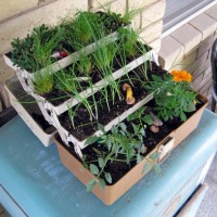 How-To: Tackle Box Planter