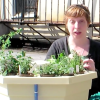 Hydroponic Herb Garden – CRAFT Video