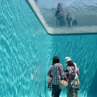 Simulated swimming pool with room inside