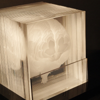 laser-etched brain model