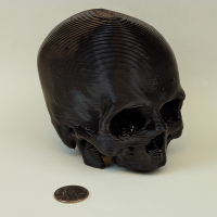 Lovely 3D-printed skull