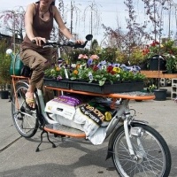 Impressive collection of cargo bikes