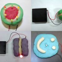 Squishy circuits