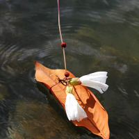 More “Little Drifter” boats from around the world