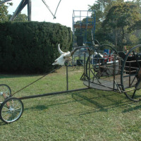 Chariot races at World Maker Faire