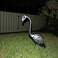 Skeleton flamingos