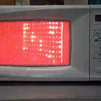 Visualizing microwaves inside a microwave oven