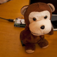 Twitter Monkey