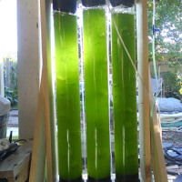 Jared Bouck’s algae bioreactor project