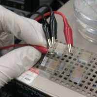 Printing transistors using a 3D printer
